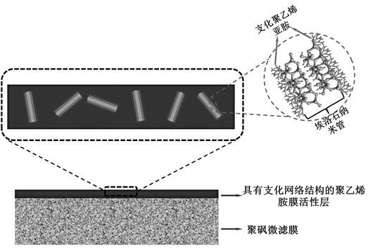 A kind of polyvinylamine film with branched network structure and its preparation method and application