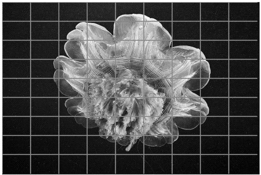 Image inhomogeneous mapping method based on grid deformation optimization