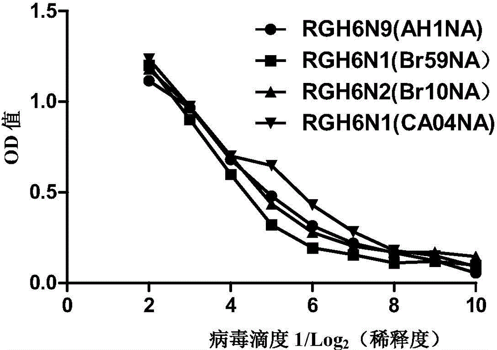 Recombinant influenza virus and application thereof