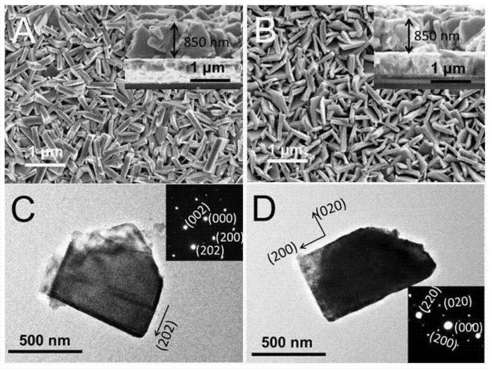 a kind of wo  <sub>3</sub> Preparation method and application of nanosheet array thin film