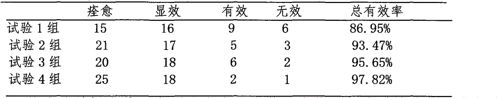Traditional Chinese medicine composition for treating seborrheic dermatitis and acne and preparation method thereof