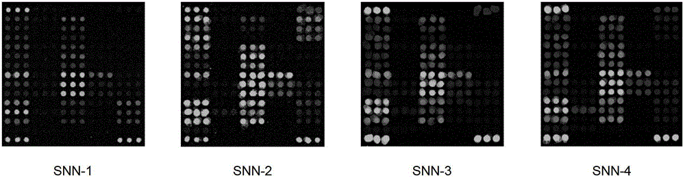 Method for detection of HIV-1 non-nucleoside inhibitor drug resistance mutation and kit