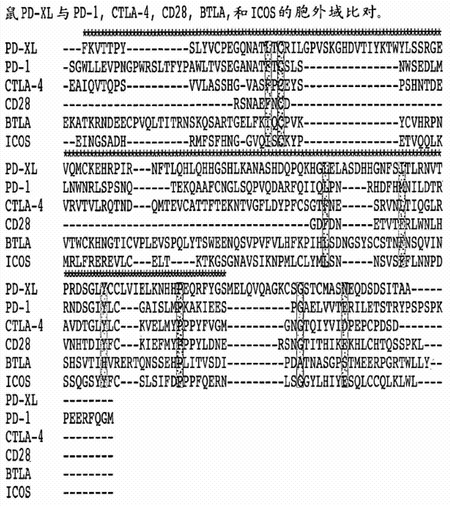 VISTA regulatory T cell mediator protein, VISTA binding agents and use thereof