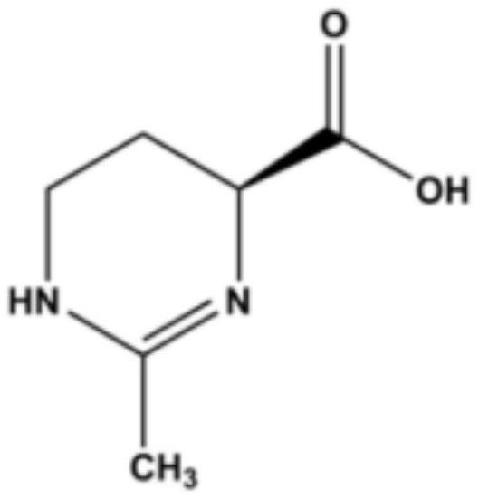 Diaminobutyric acid acetyltransferase mutant for synthesizing Ectoine