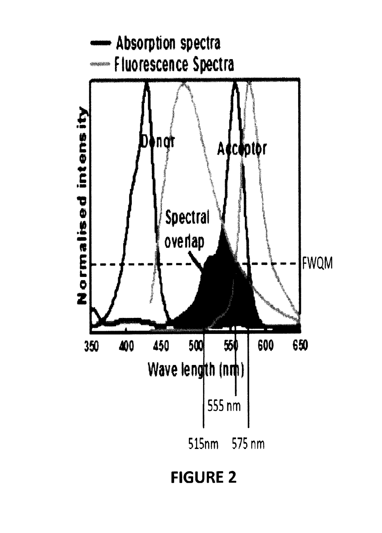 Biophotonic compositions for the treatment of pyoderma