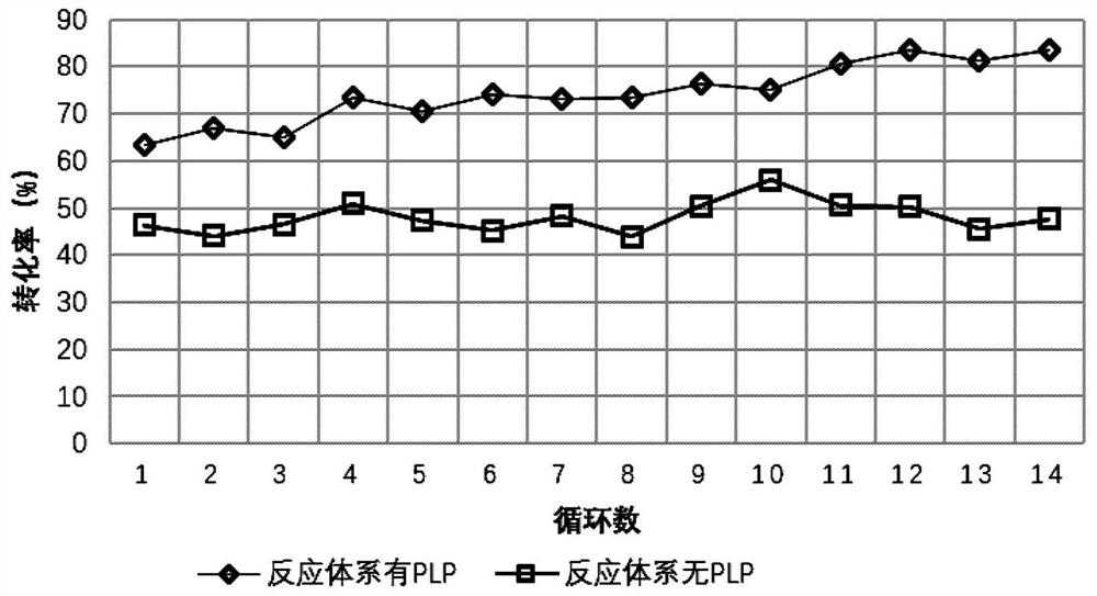 PVA membrane immobilized enzyme and preparation method thereof