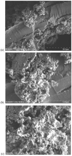 Preparation method of agricultural and forestry waste porous carbon-based composite adsorption material
