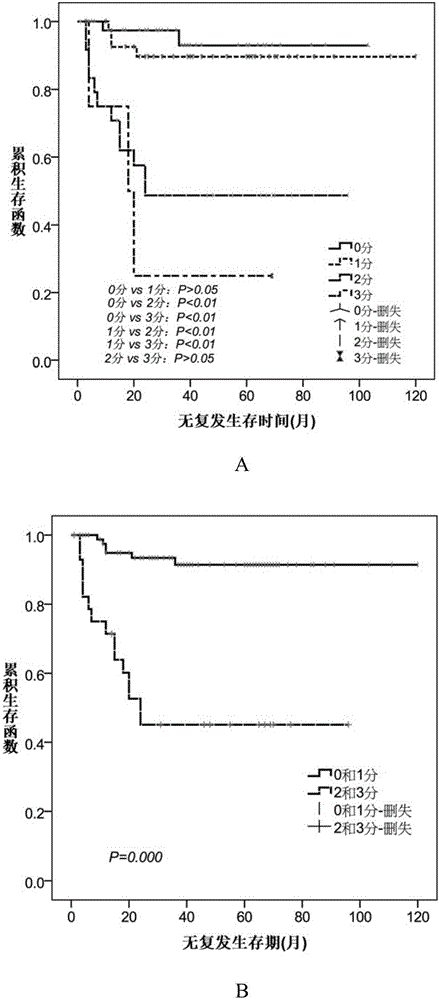 Method and system for grouping liver transplantation prognostic conditions for patient with hepatocellular carcinoma, and kit