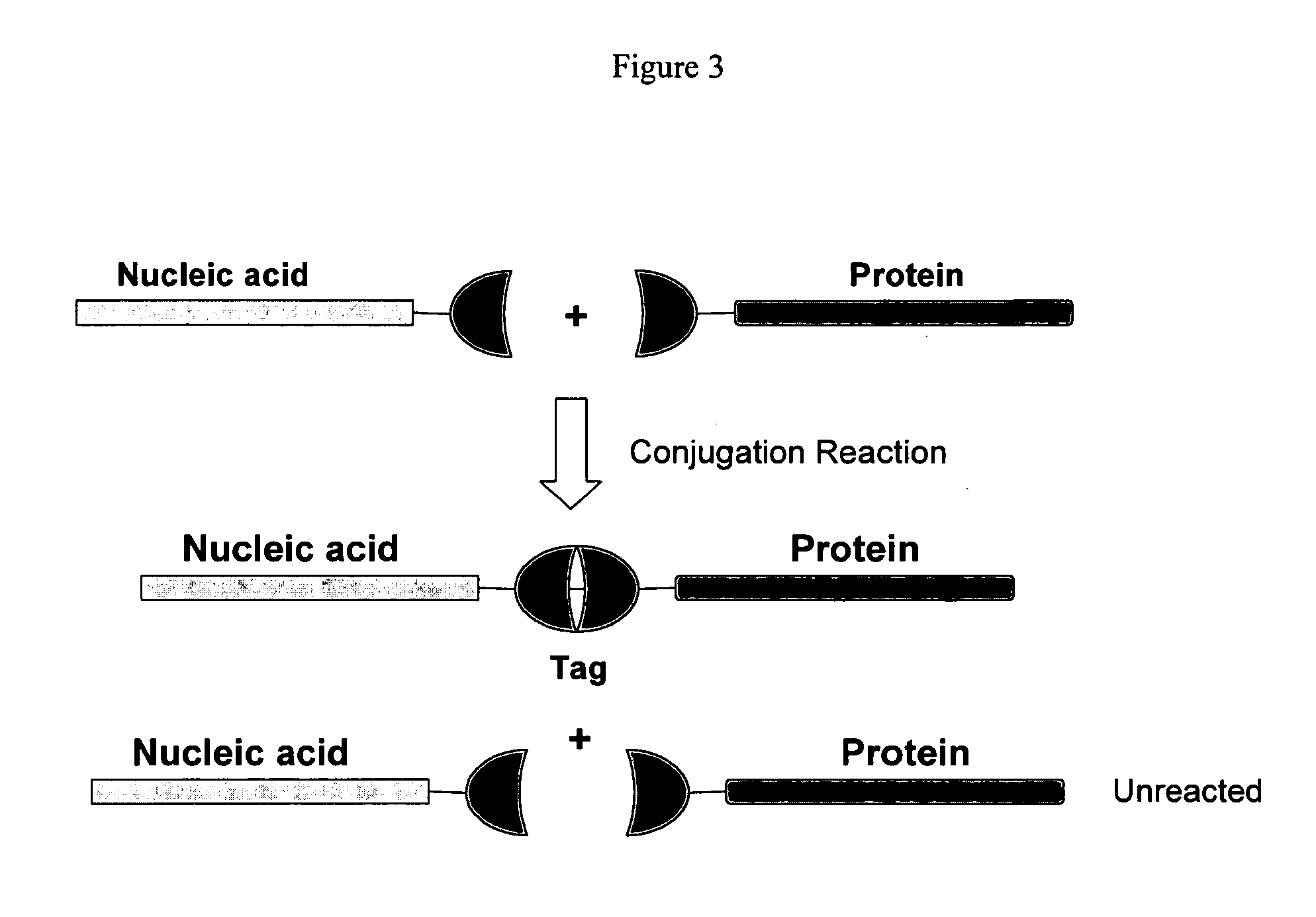 Compositions and methods for detecting protease activity