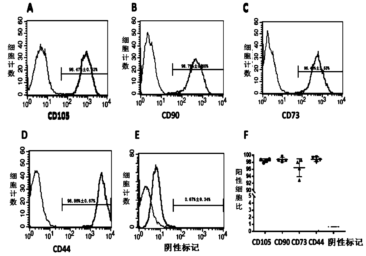 Culture medium and method for quickly inducing differentiation of human mesenchymal stem cells to obtain fat