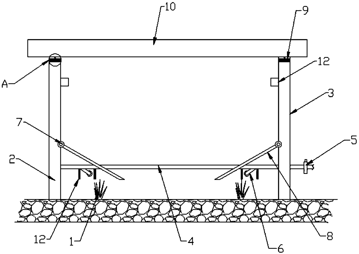 Grape planting frame