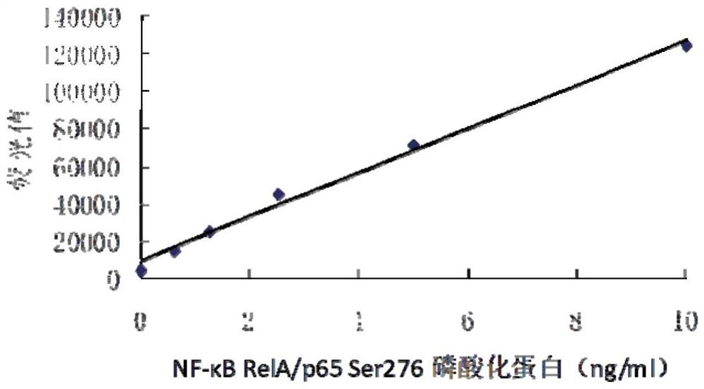 nf-κb RelA/p65 protein site-specific phosphorylation diagnostic kit
