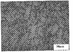 TiN enhanced ferrous matrix composite surface layer and processing method thereof