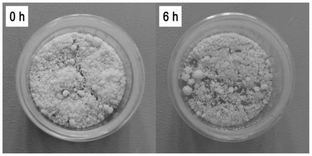 Method for testing hygroscopicity of 3,4-dinitropyrazole