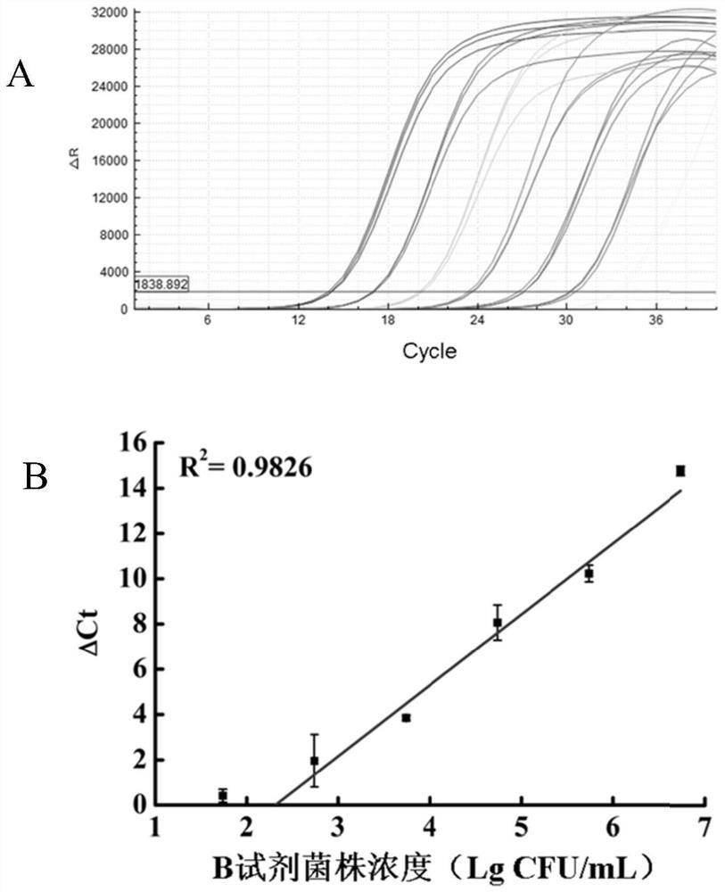 Vibrio parahaemolyticus bacteriophage and application thereof in detection of viable cell content of pandemic strains of vibrio parahaemolyticus