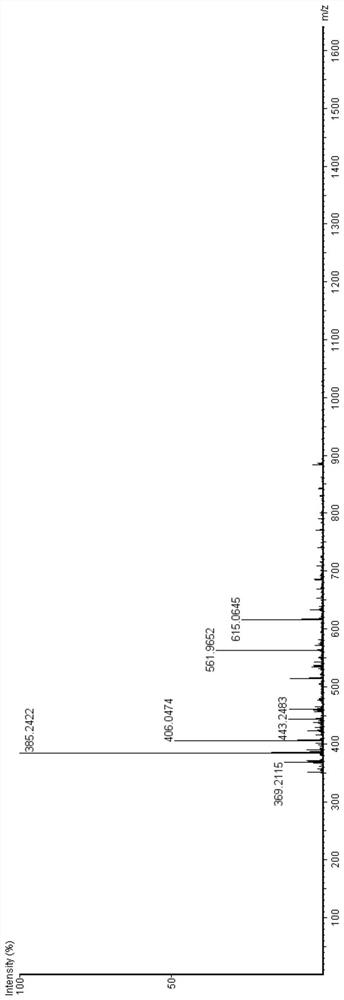 Bioactive peptide AGYDVEKNNSRIKLGLK and preparation method and application thereof