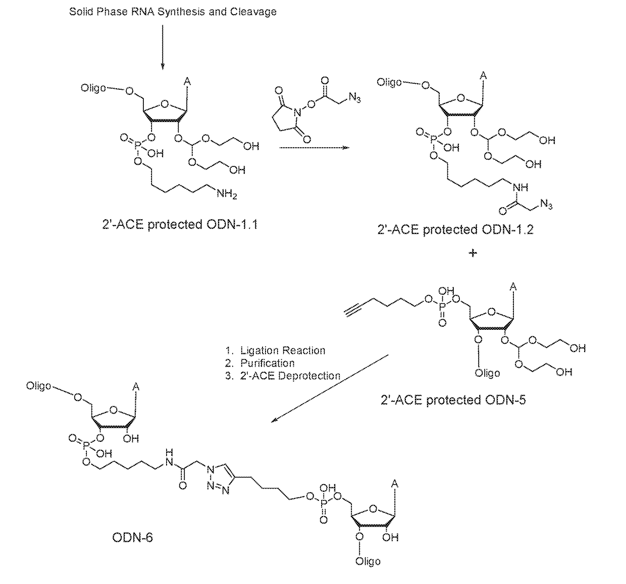 Synthetic single guide RNA for cas9-mediated gene editing