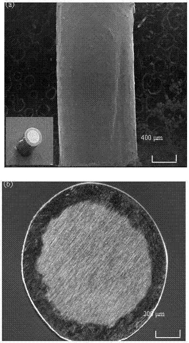 Metal wire for improving strength and corrosion resistance and preparation method thereof