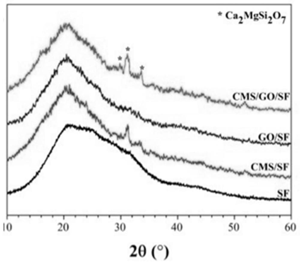 Porous scaffold as well as preparation method and application thereof