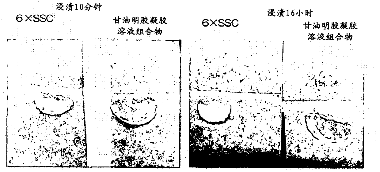 Composition for preventing drying of gel, gel composite and DNA chip containing said composite, and method for producing said composition, composite, and chip