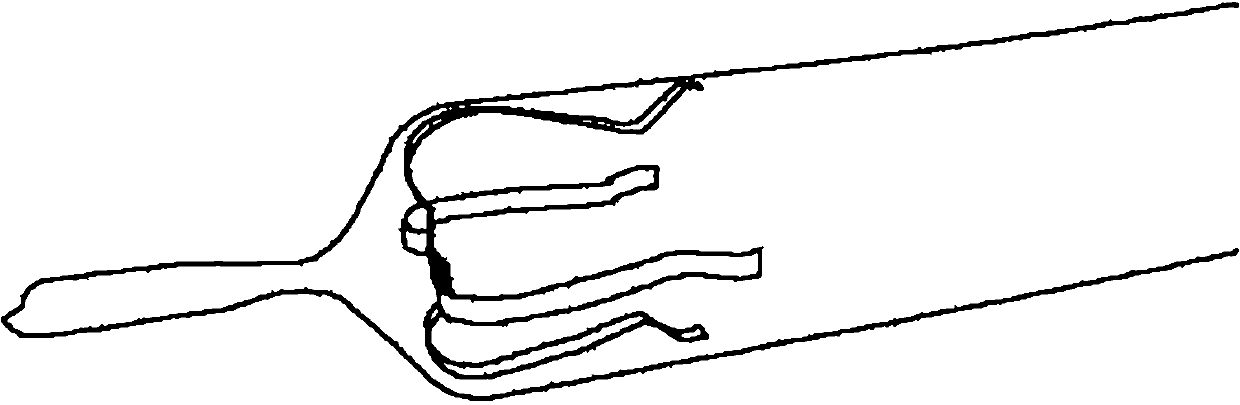 Stepping transferring and carrying system