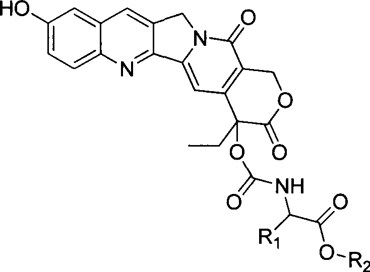 Novel 10-hydroxy camptothecin site-20 derivative preparation method, and application of 10-hydroxy camptothecin site 20 derivative in anti-tumor drugs