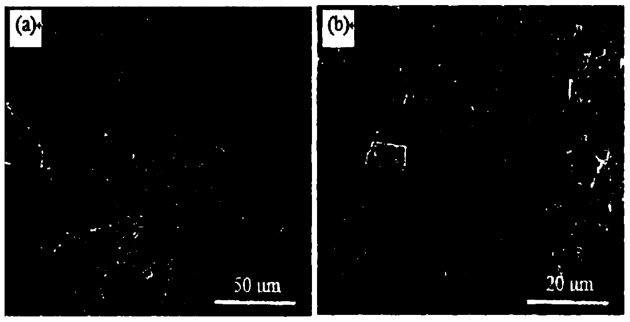 A kind of preparation method of carbon fiber powder reinforced tungsten matrix composite material