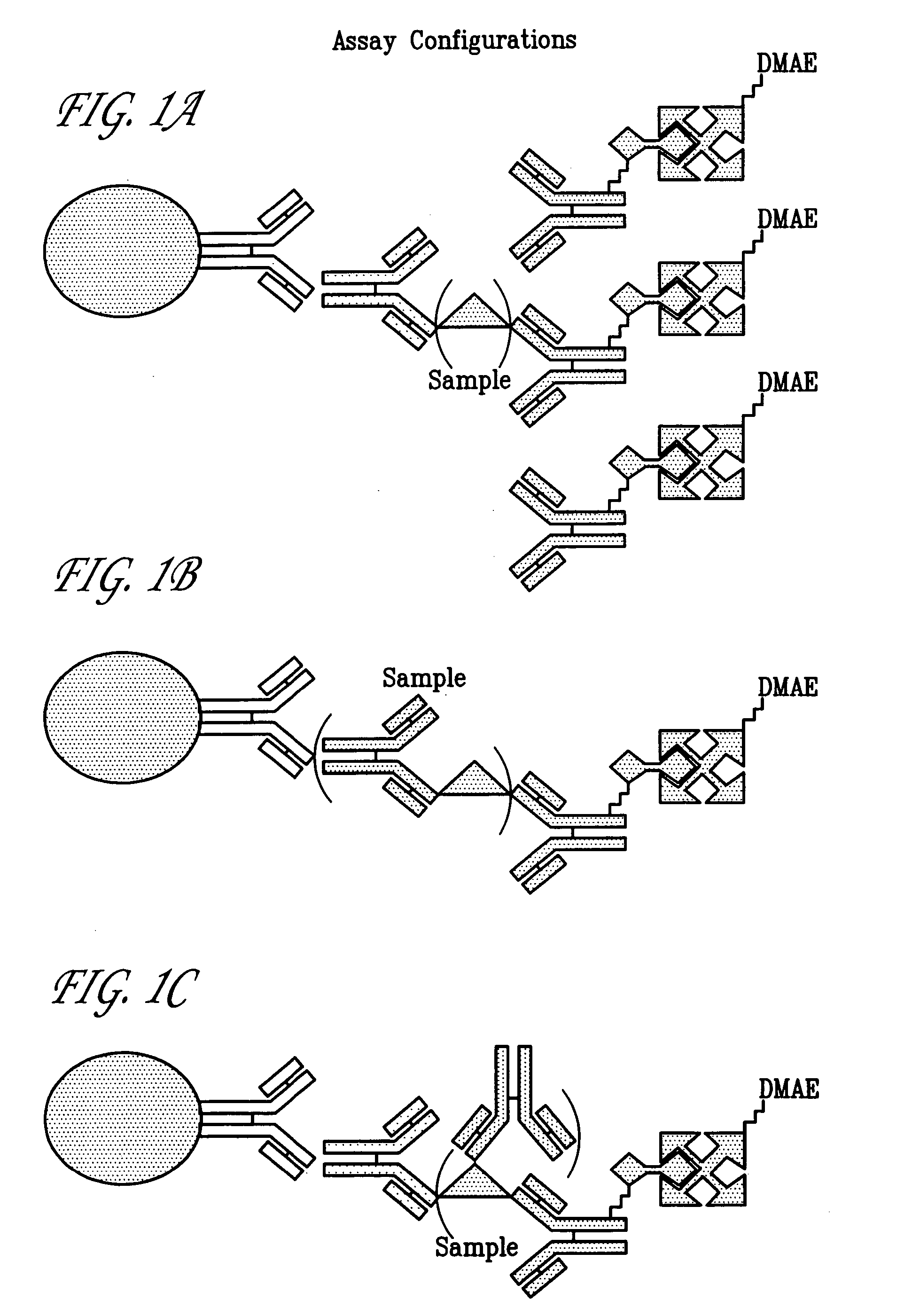 Hepatitis C viral antigen immunoassay detection systems