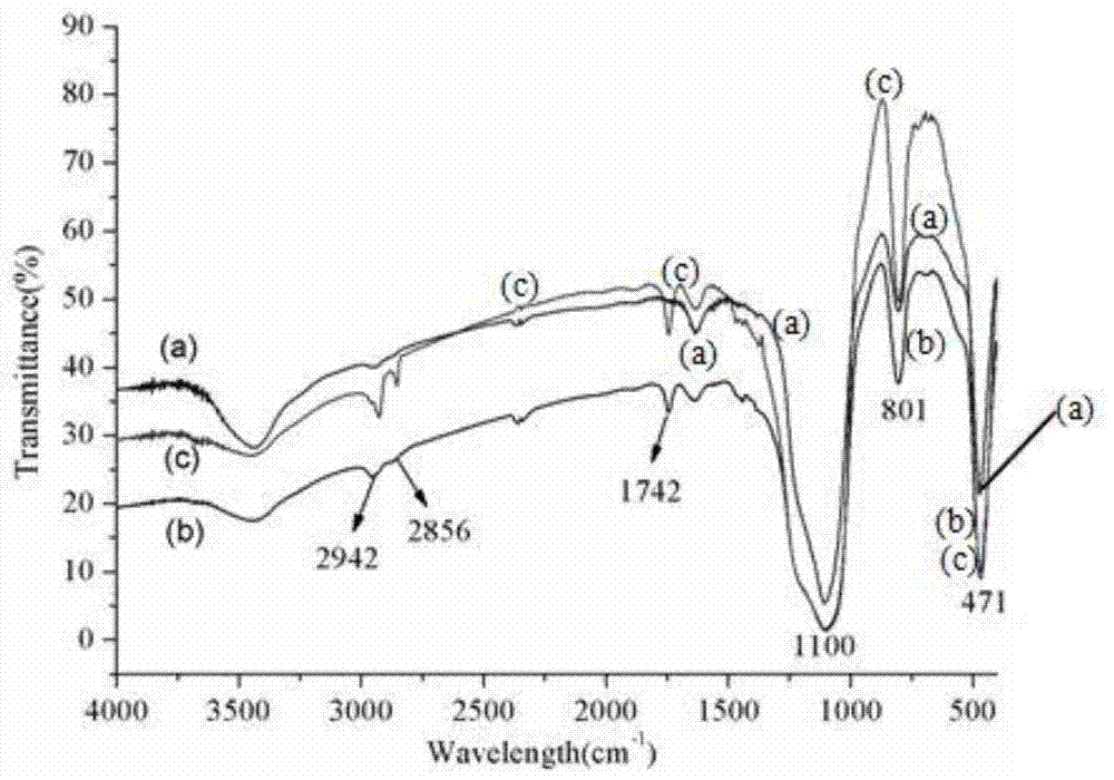 A dendritic C18 silica microsphere stationary phase and its preparation and application