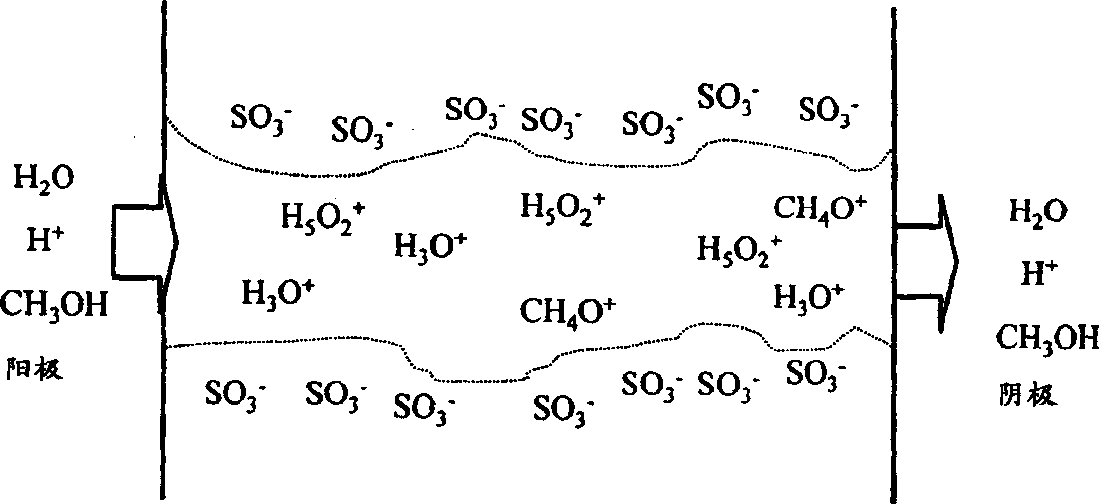 Proton conductivity polymer, catalyst compsn.electrolytic memberane for fuel cell and fuel cell