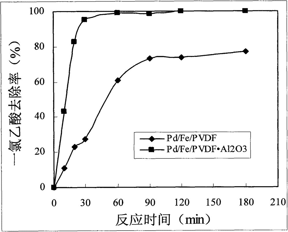 Nanometer Pd/Fe catalyst and application thereof