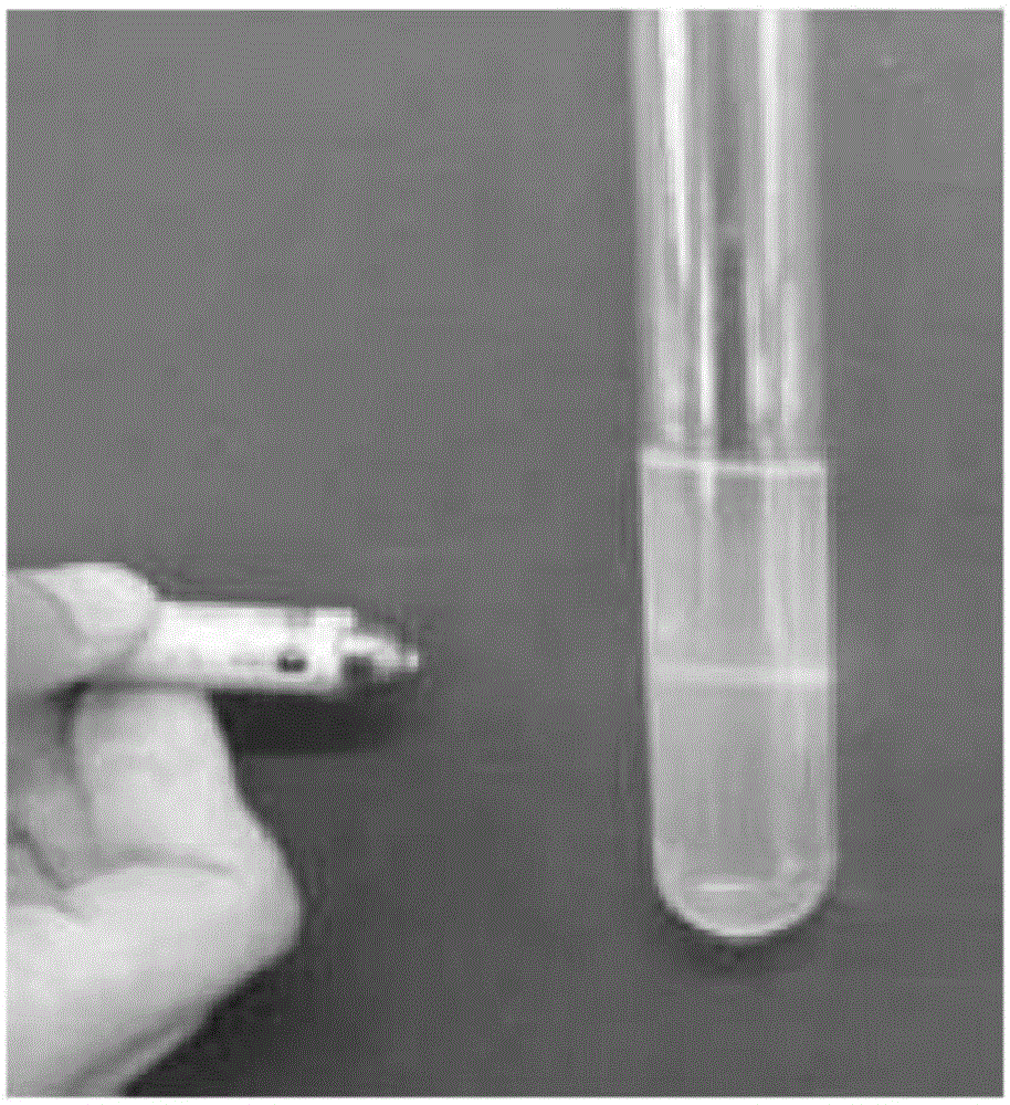 Nanometer particle colloid, method for preparing same and application of nanometer particle colloid