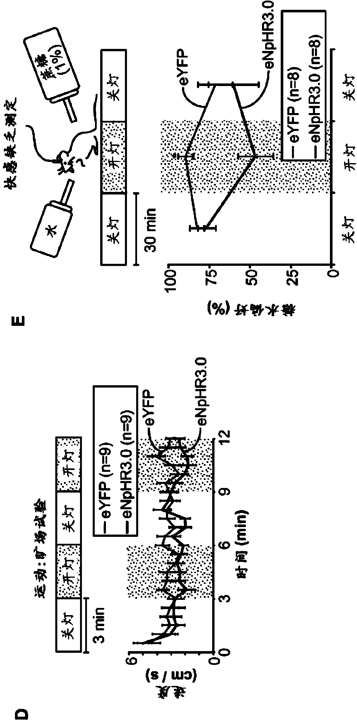 Non-human animal models of depression and methods of use thereof