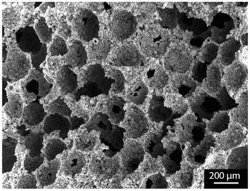 Particle-stabilized foams using sustainable materials