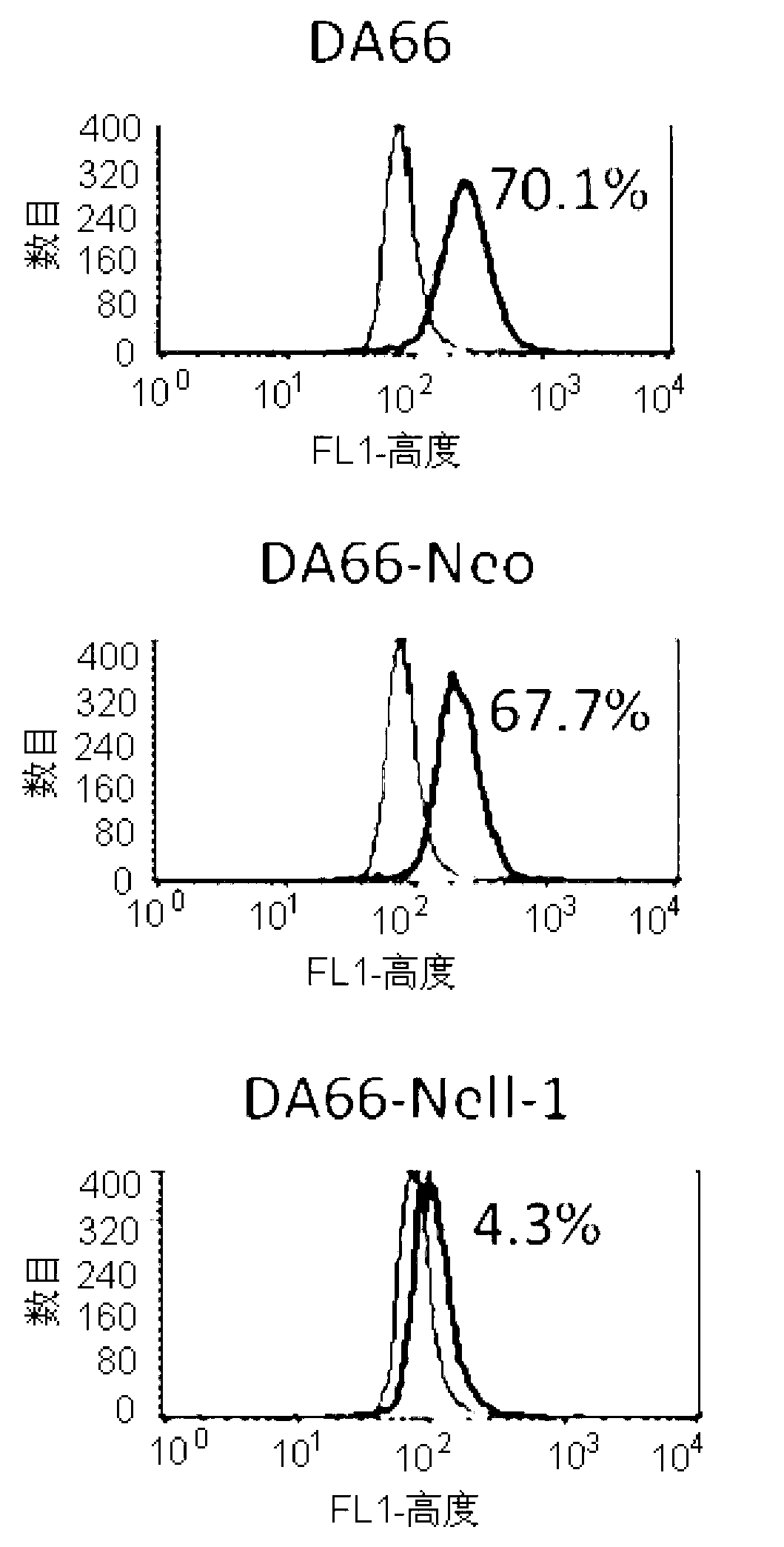 Gene medicine for promoting differentiation of tumor stem cells and applications thereof