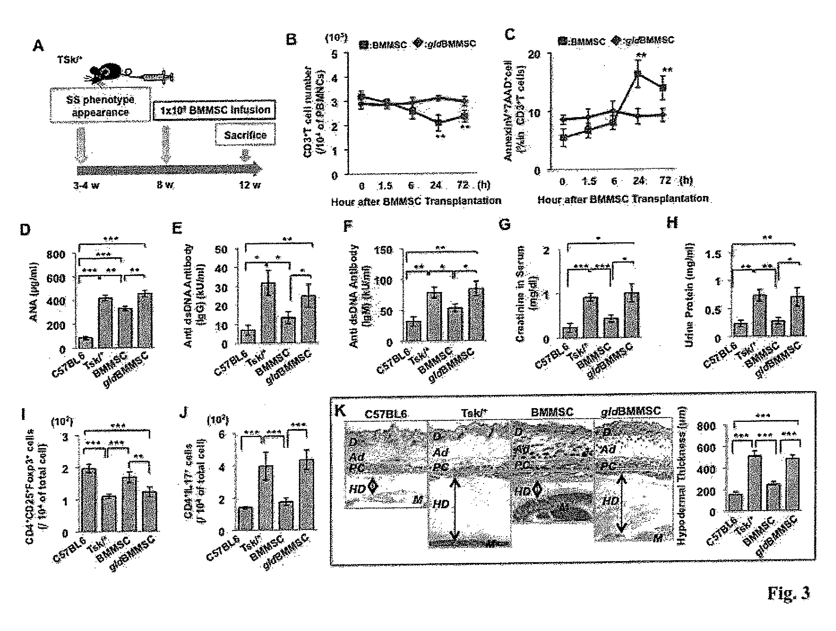 Compositions and Treatment Methods for Mesenchymal Stem Cell-Induced Immunoregulation