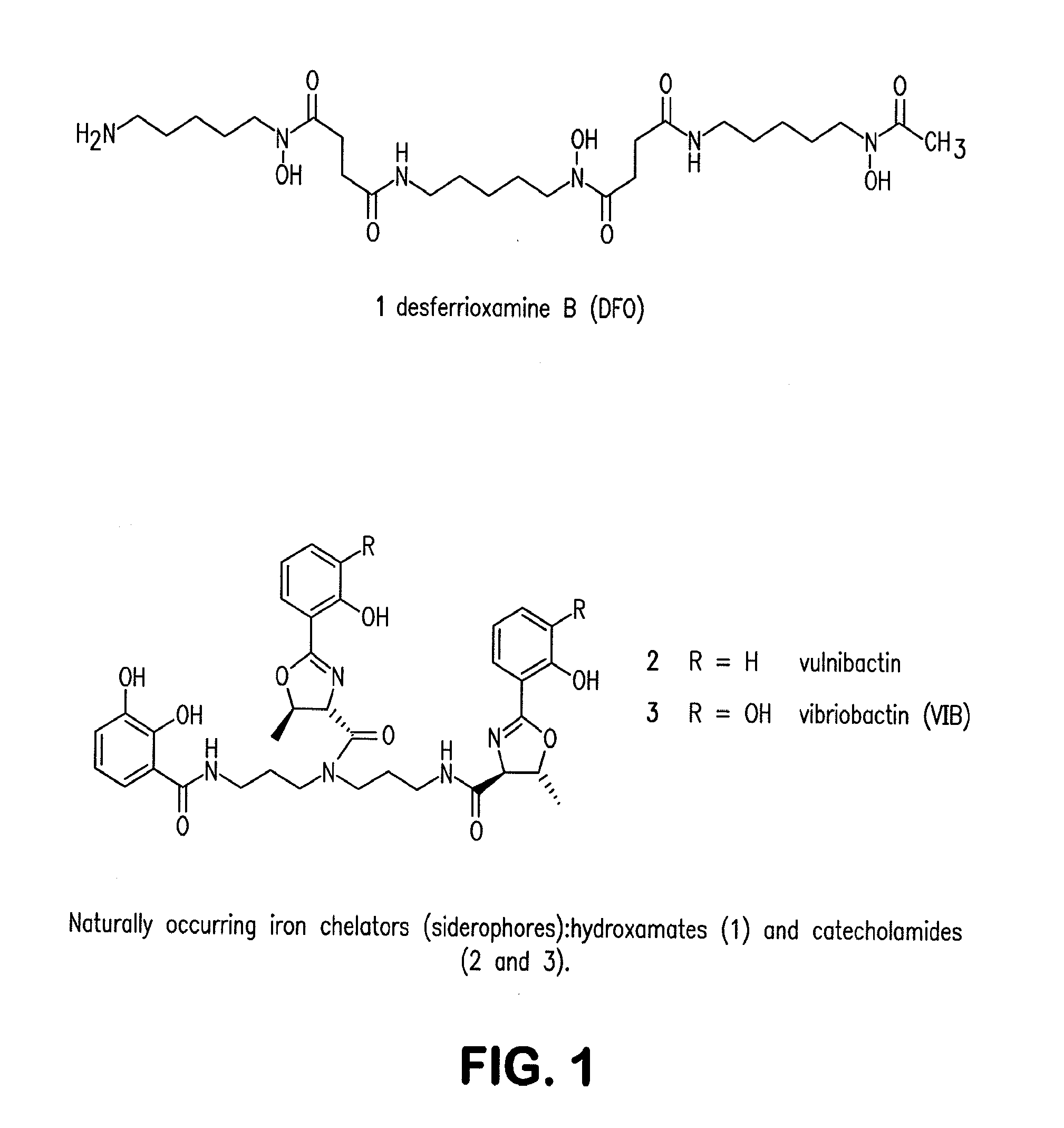 Siderophore Conjugate Immunogenic Compositions and Vaccines