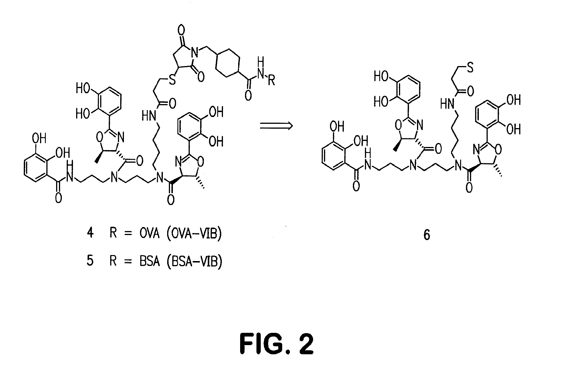 Siderophore Conjugate Immunogenic Compositions and Vaccines