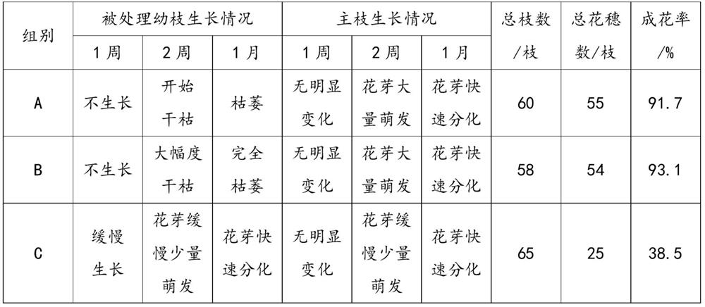 A preparation for controlling shoots and promoting flowers of loquat