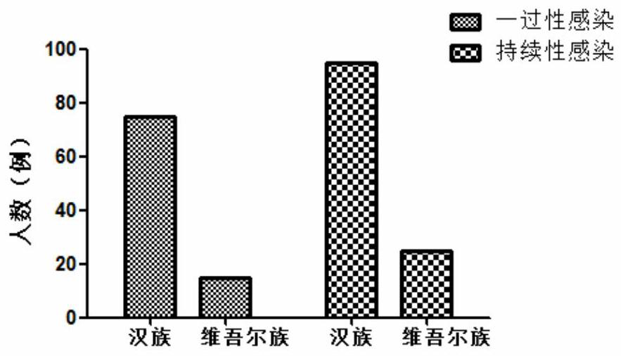 Detection method related to human papilloma virus infection immune response and application