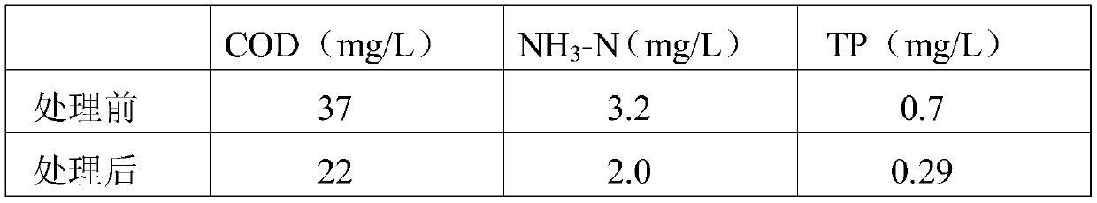 Composite microbial agent for treating river water with different pollution degrees