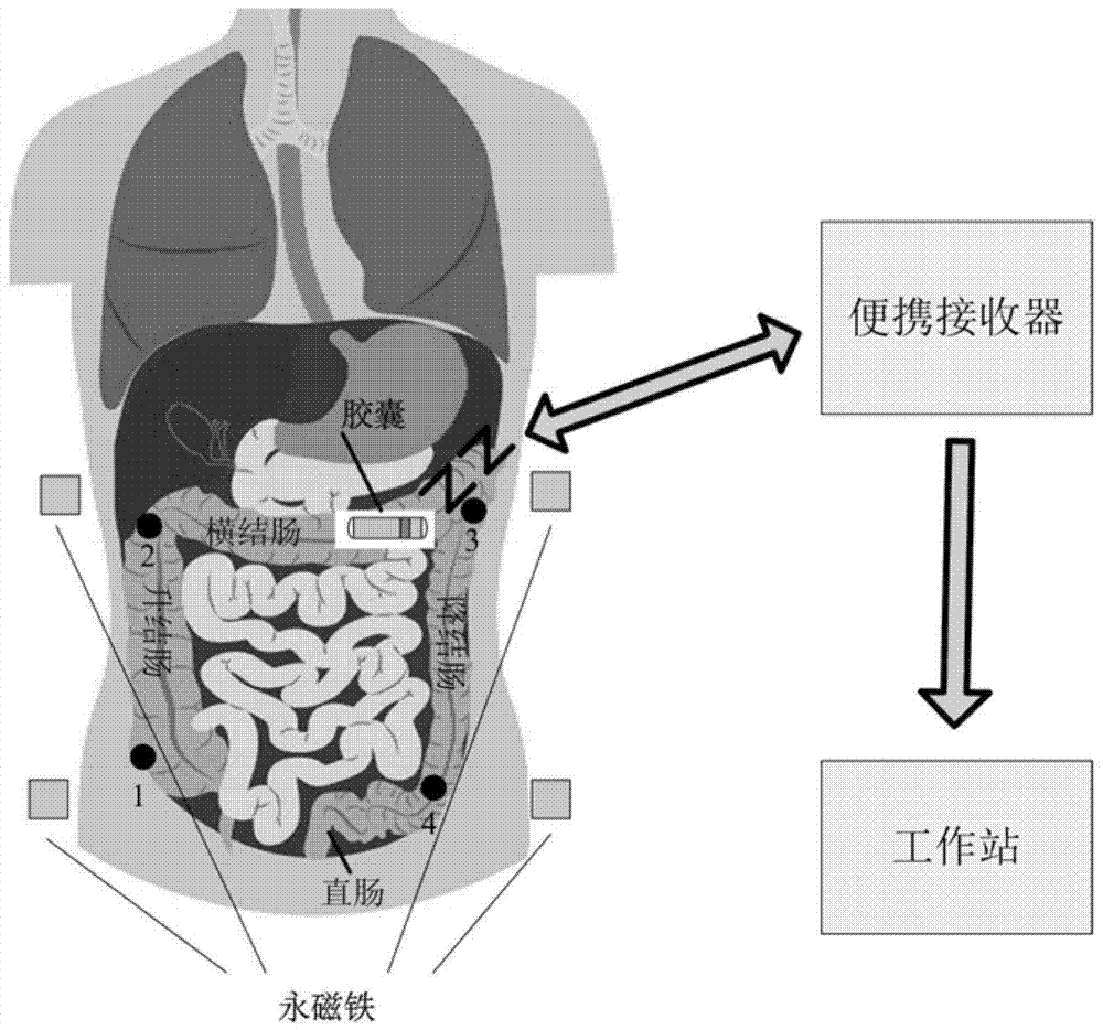 Colon cavity inner capsule system positioning device