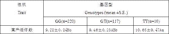 SNP (single nucleotidepolymorphism) marker related to sow farrowing character as well as detection method and application thereof