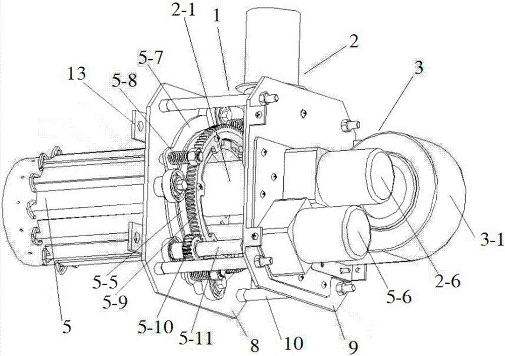 Sectionalized biomass combustion device