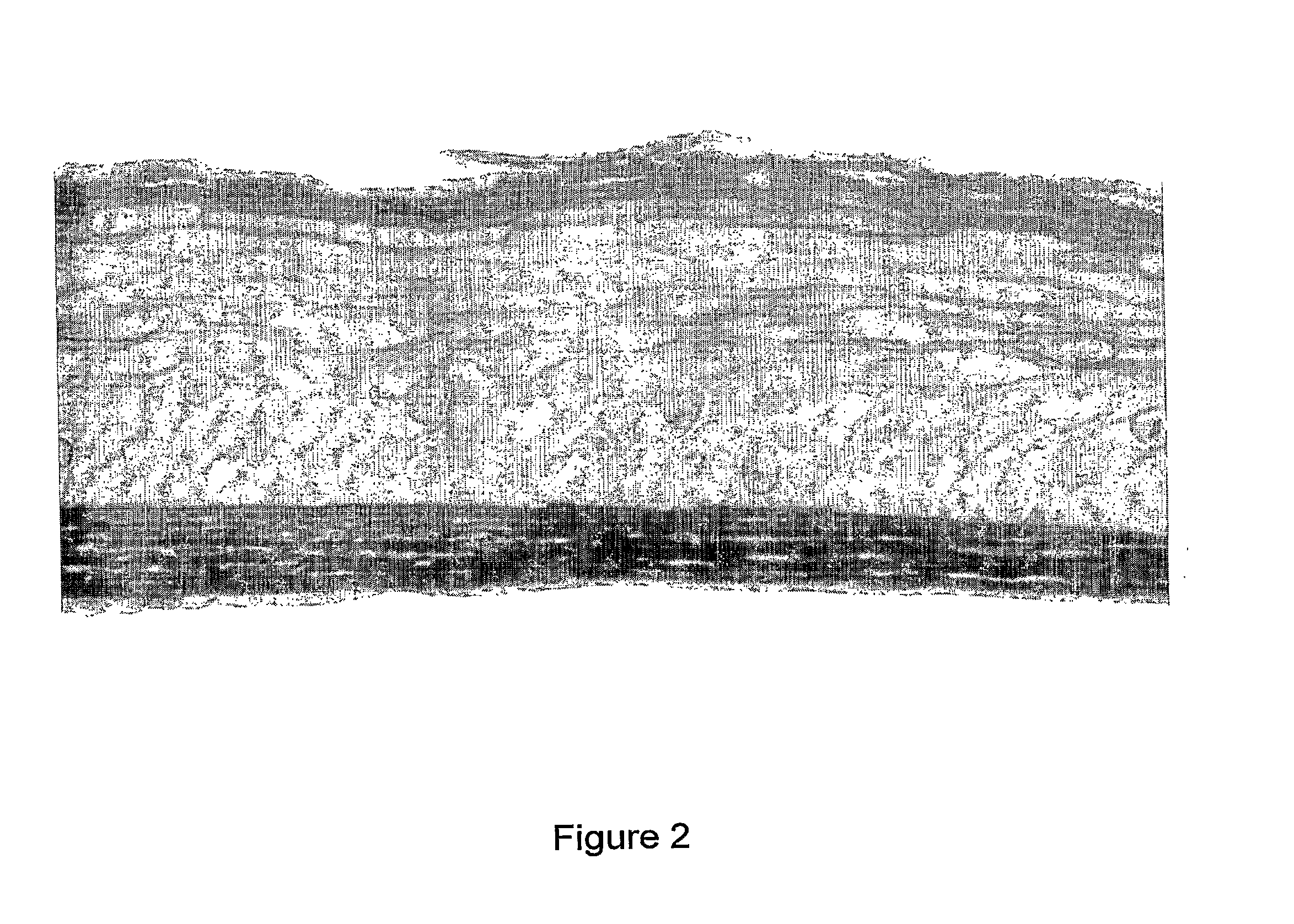 Method for the treatment of mammalian skin tissues via pulse irradiation in the presence of a photoactive compound