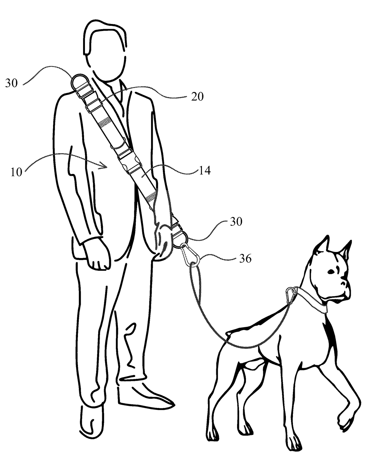 Hands free canine walker and accessory carrying device