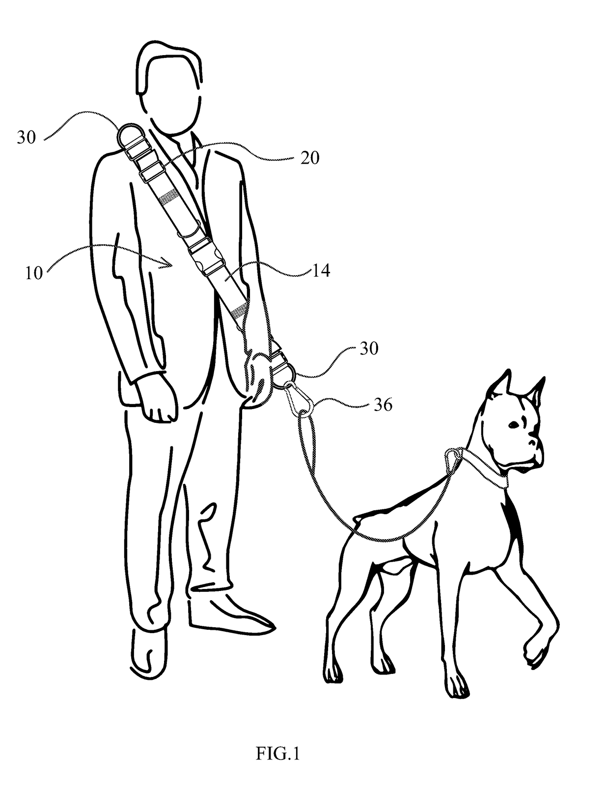 Hands free canine walker and accessory carrying device