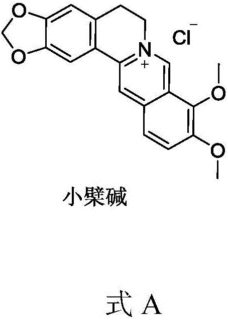 Berberine drug as well as preparation method and application thereof