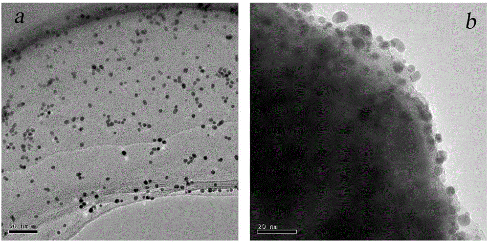 Magnetic gold nanoparticle composite material, and preparation method and application thereof