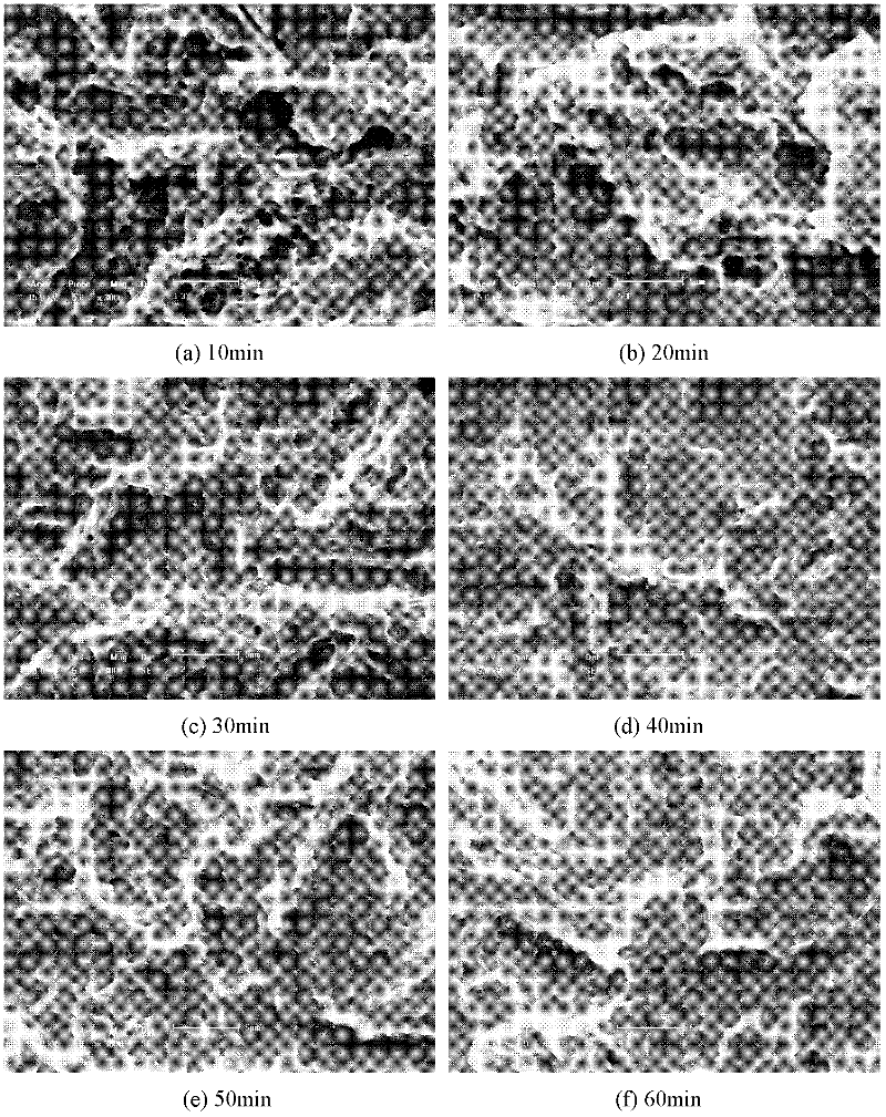 Preparation method for wettability controllable porous structure of titanium and titanium alloy surface